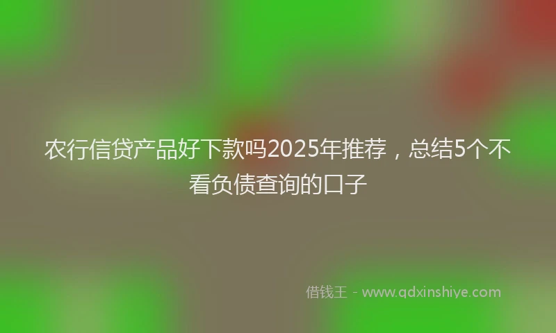 农行信贷产品好下款吗2025年推荐，总结5个不看负债查询的口子