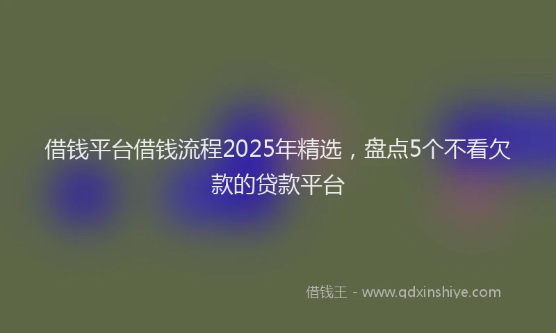 借钱平台借钱流程2025年精选，盘点5个不看欠款的贷款平台