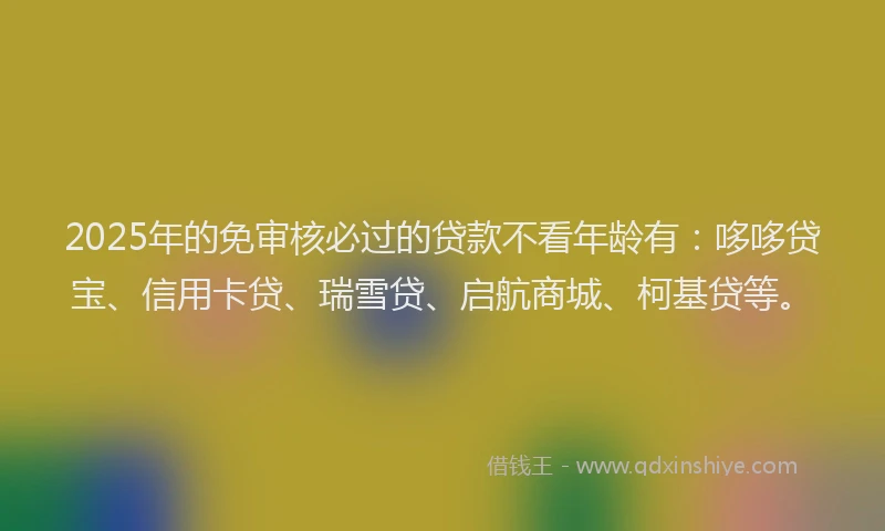 2025年的免审核必过的贷款不看年龄有：哆哆贷宝、信用卡贷、瑞雪贷、启航商城、柯基贷等。
