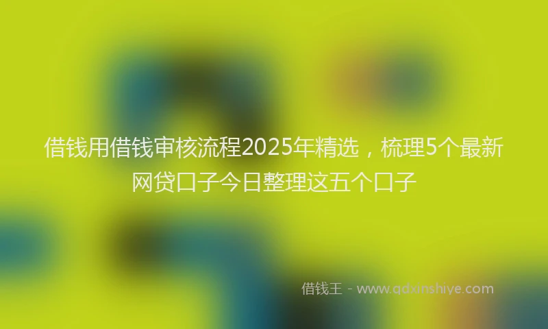 借钱用借钱审核流程2025年精选，梳理5个最新网贷口子今日整理这五个口子