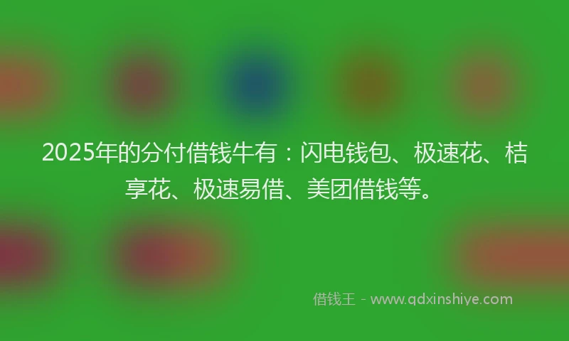 2025年的分付借钱牛有：闪电钱包、极速花、桔享花、极速易借、美团借钱等。