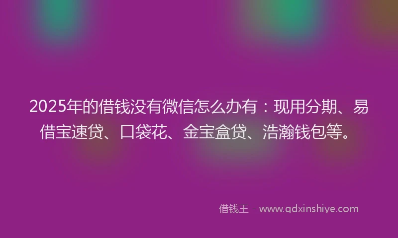 2025年的借钱没有微信怎么办有：现用分期、易借宝速贷、口袋花、金宝盒贷、浩瀚钱包等。