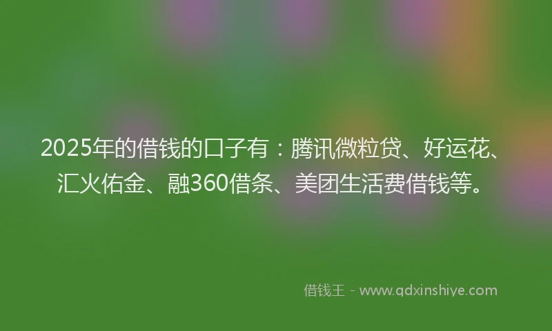 2025年的借钱的口子有：腾讯微粒贷、好运花、汇火佑金、融360借条、美团生活费借钱等。