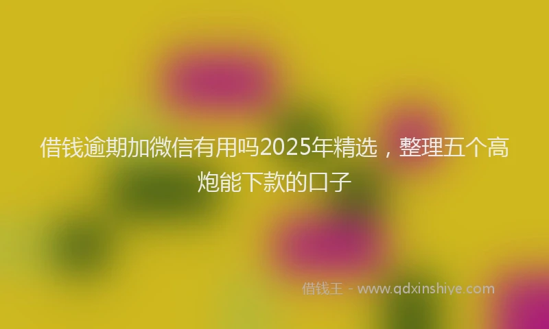 借钱逾期加微信有用吗2025年精选，整理五个高炮能下款的口子