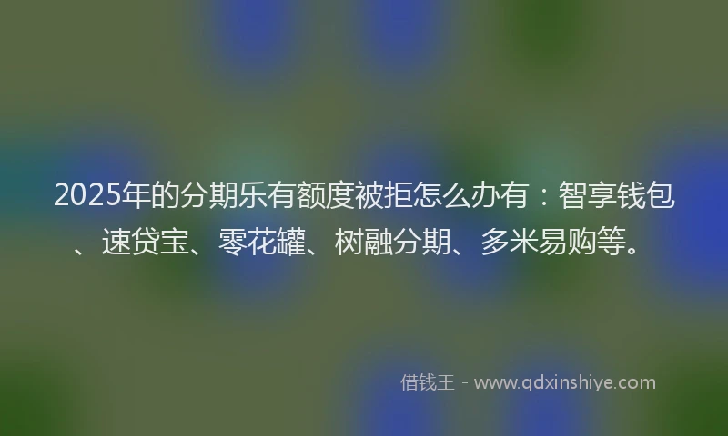 2025年的分期乐有额度被拒怎么办有：智享钱包、速贷宝、零花罐、树融分期、多米易购等。