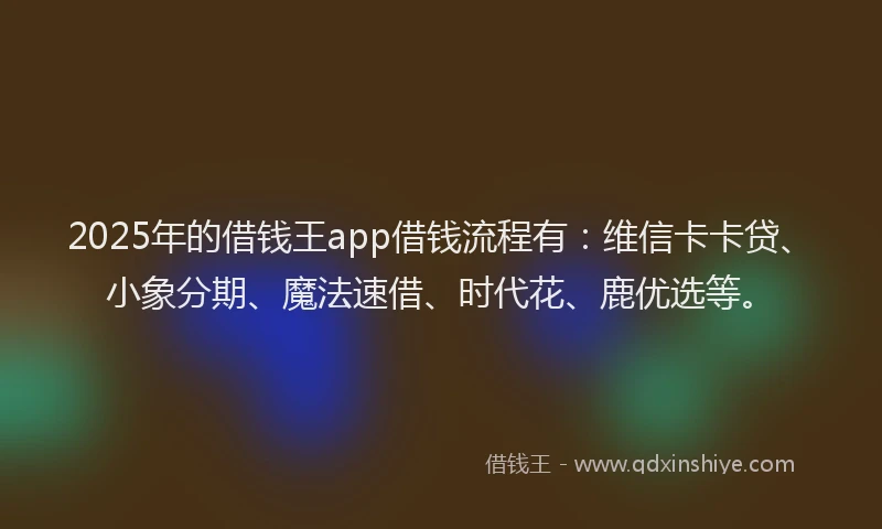 2025年的借钱王app借钱流程有：维信卡卡贷、小象分期、魔法速借、时代花、鹿优选等。