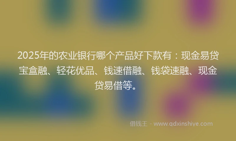 2025年的农业银行哪个产品好下款有：现金易贷宝盒融、轻花优品、钱速借融、钱袋速融、现金贷易借等。