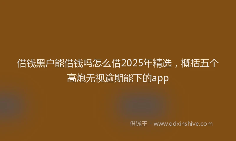 借钱黑户能借钱吗怎么借2025年精选，概括五个高炮无视逾期能下的app