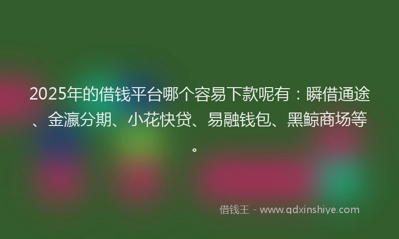 2025年的借钱平台哪个容易下款呢有：瞬借通途、金瀛分期、小花快贷、易融钱包、黑鲸商场等。