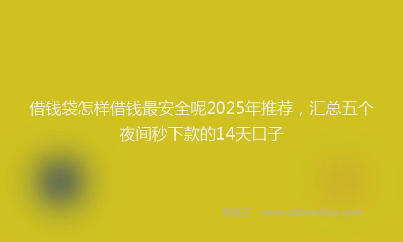 借钱袋怎样借钱最安全呢2025年推荐，汇总五个夜间秒下款的14天口子