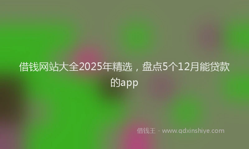借钱网站大全2025年精选，盘点5个12月能贷款的app