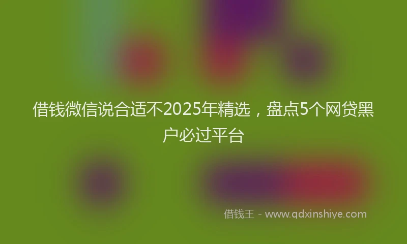 借钱微信说合适不2025年精选，盘点5个网贷黑户必过平台