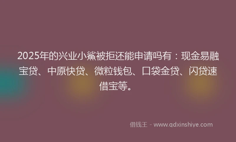 2025年的兴业小鯊被拒还能申请吗有：现金易融宝贷、中原快贷、微粒钱包、口袋金贷、闪贷速借宝等。