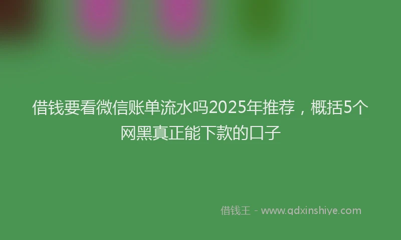 借钱要看微信账单流水吗2025年推荐，概括5个网黑真正能下款的口子