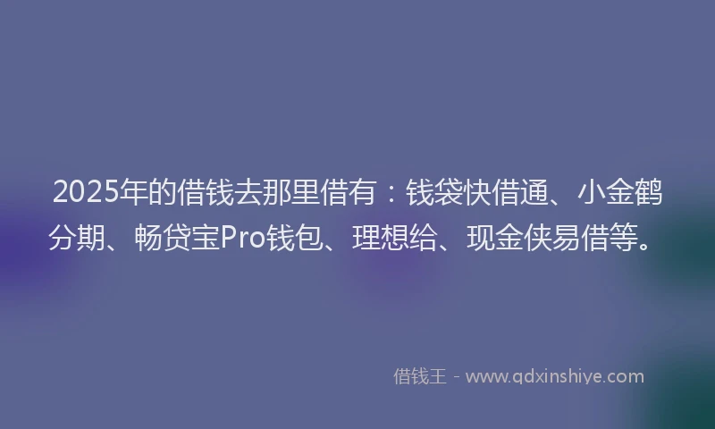 2025年的借钱去那里借有：钱袋快借通、小金鹤分期、畅贷宝Pro钱包、理想给、现金侠易借等。