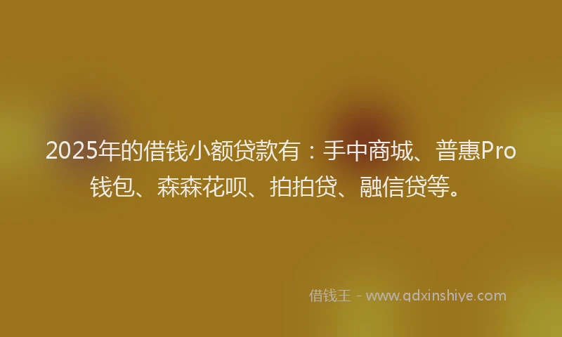 2025年的借钱小额贷款有：手中商城、普惠Pro钱包、森森花呗、拍拍贷、融信贷等。