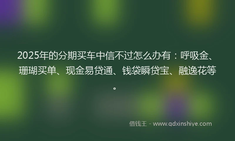 2025年的分期买车中信不过怎么办有：呼吸金、珊瑚买单、现金易贷通、钱袋瞬贷宝、融逸花等。