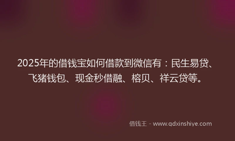 2025年的借钱宝如何借款到微信有：民生易贷、飞猪钱包、现金秒借融、榕贝、祥云贷等。