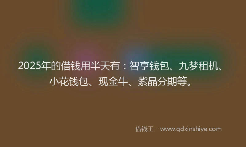 2025年的借钱用半天有：智享钱包、九梦租机、小花钱包、现金牛、紫晶分期等。