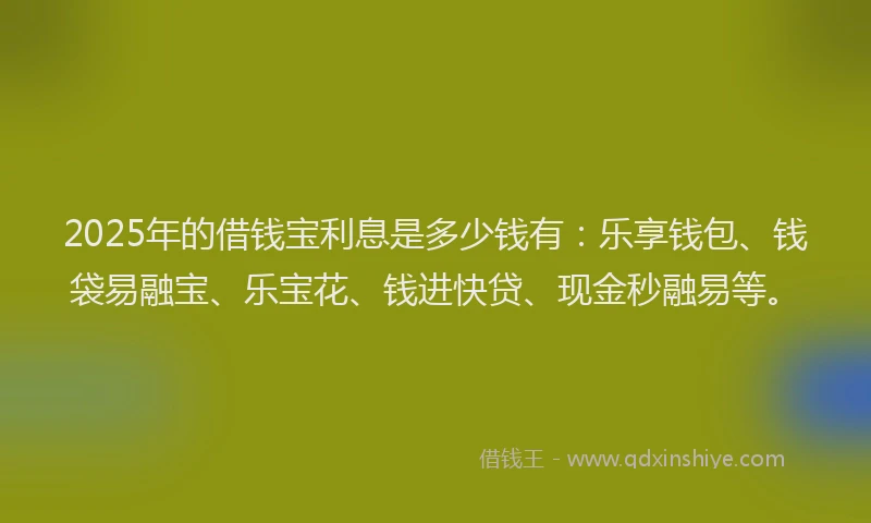 2025年的借钱宝利息是多少钱有：乐享钱包、钱袋易融宝、乐宝花、钱进快贷、现金秒融易等。