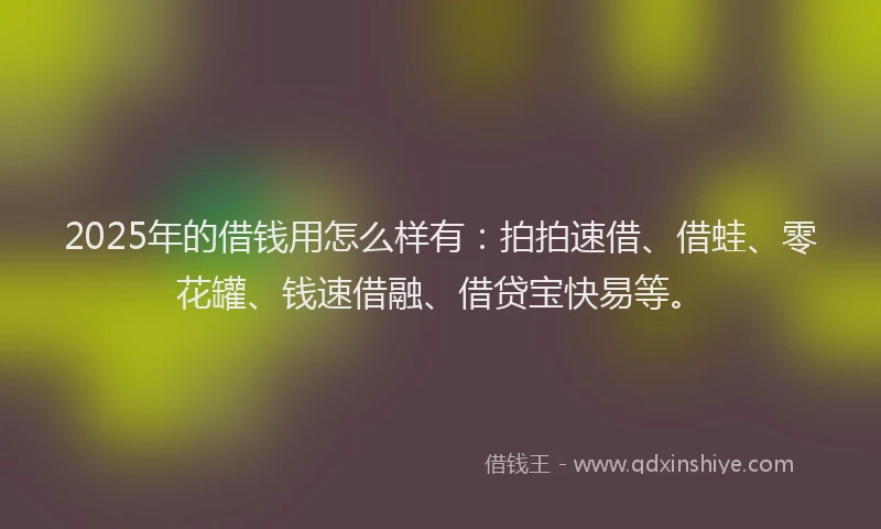 2025年的借钱用怎么样有：拍拍速借、借蛙、零花罐、钱速借融、借贷宝快易等。
