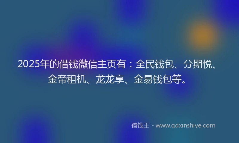 2025年的借钱微信主页有：全民钱包、分期悦、金帝租机、龙龙享、金易钱包等。
