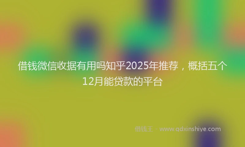 借钱微信收据有用吗知乎2025年推荐，概括五个12月能贷款的平台