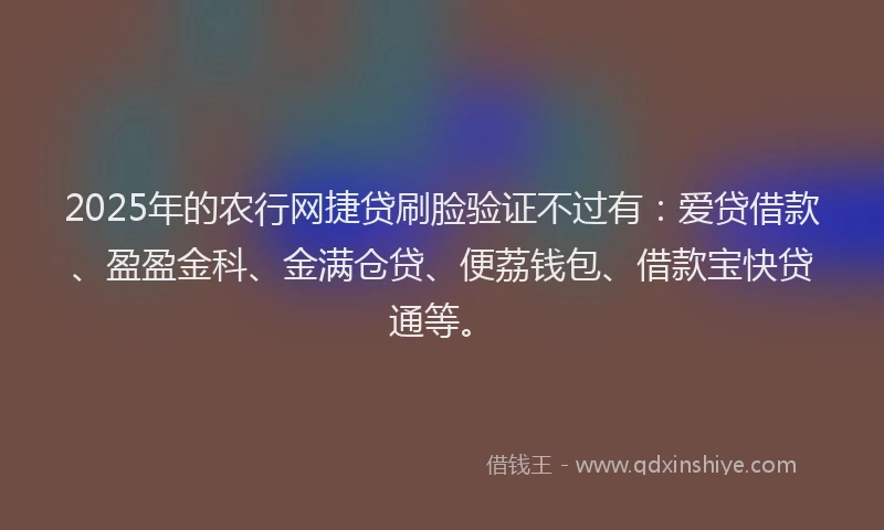 2025年的农行网捷贷刷脸验证不过有：爱贷借款、盈盈金科、金满仓贷、便荔钱包、借款宝快贷通等。