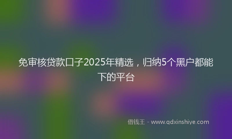 免审核贷款口子2025年精选，归纳5个黑户都能下的平台