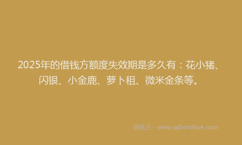 2025年的借钱方额度失效期是多久有：花小猪、闪银、小金鹿、萝卜租、微米金条等。