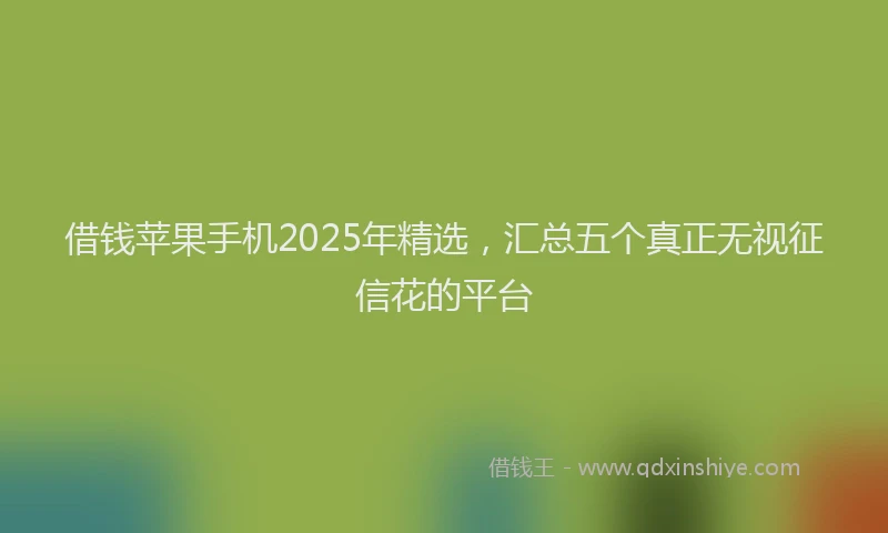 借钱苹果手机2025年精选，汇总五个真正无视征信花的平台