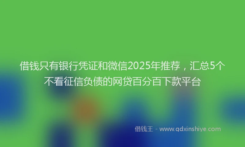 借钱只有银行凭证和微信2025年推荐，汇总5个不看征信负债的网贷百分百下款平台