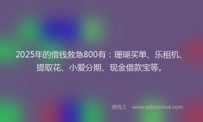 2025年的借钱救急800有：珊瑚买单、乐租机、提取花、小爱分期、现金借款宝等。