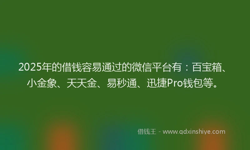 2025年的借钱容易通过的微信平台有：百宝箱、小金象、天天金、易秒通、迅捷Pro钱包等。