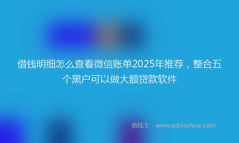 借钱明细怎么查看微信账单2025年推荐，整合五个黑户可以做大额贷款软件