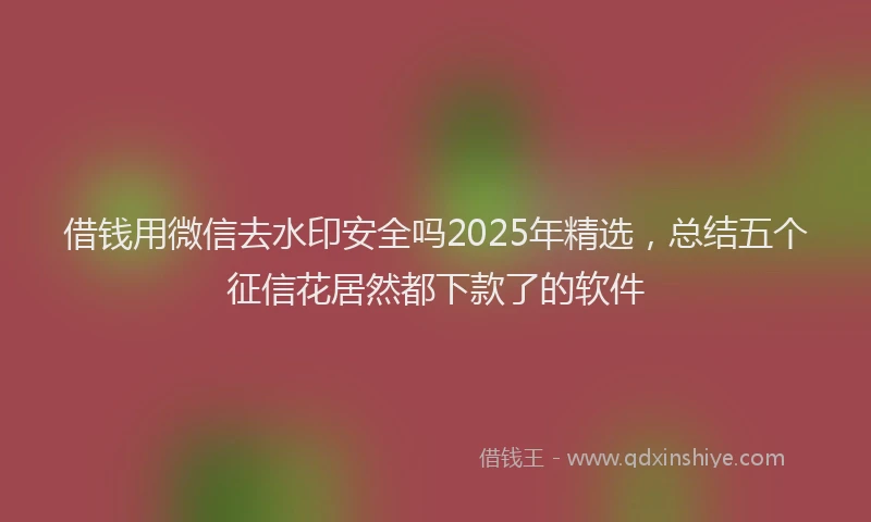 借钱用微信去水印安全吗2025年精选，总结五个征信花居然都下款了的软件