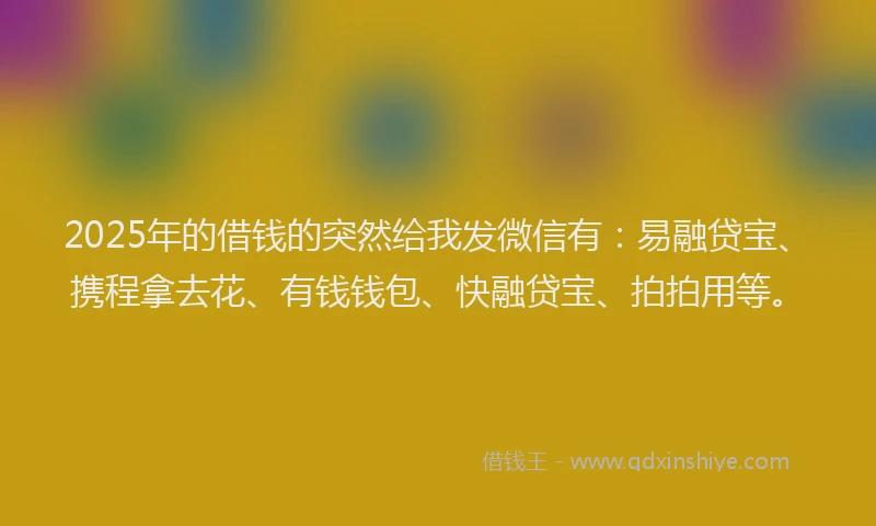 2025年的借钱的突然给我发微信有：易融贷宝、携程拿去花、有钱钱包、快融贷宝、拍拍用等。