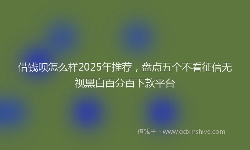 借钱呗怎么样2025年推荐，盘点五个不看征信无视黑白百分百下款平台
