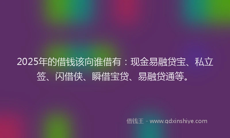 2025年的借钱该向谁借有：现金易融贷宝、私立签、闪借侠、瞬借宝贷、易融贷通等。