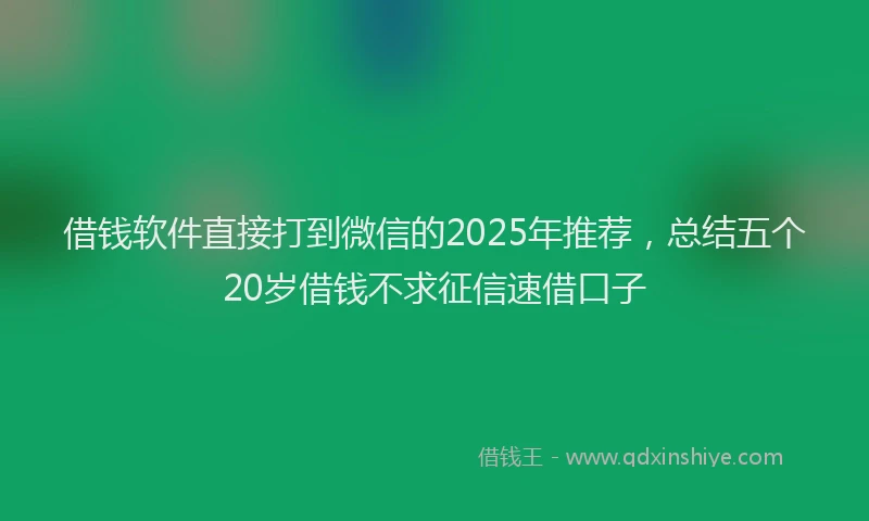借钱软件直接打到微信的2025年推荐，总结五个20岁借钱不求征信速借口子