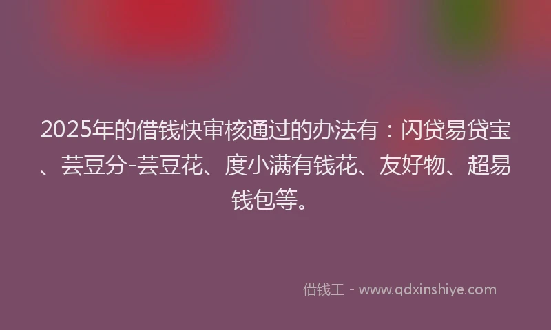 2025年的借钱快审核通过的办法有：闪贷易贷宝、芸豆分-芸豆花、度小满有钱花、友好物、超易钱包等。