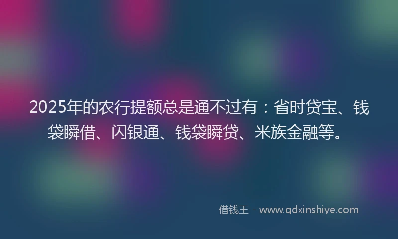 2025年的农行提额总是通不过有：省时贷宝、钱袋瞬借、闪银通、钱袋瞬贷、米族金融等。