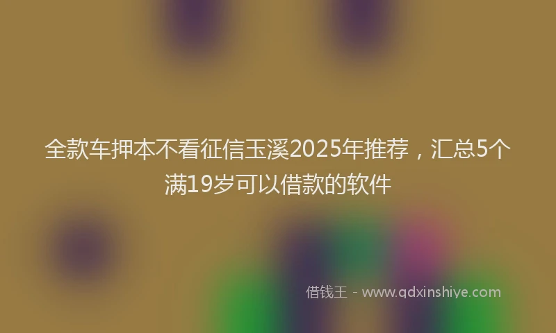 全款车押本不看征信玉溪2025年推荐，汇总5个满19岁可以借款的软件