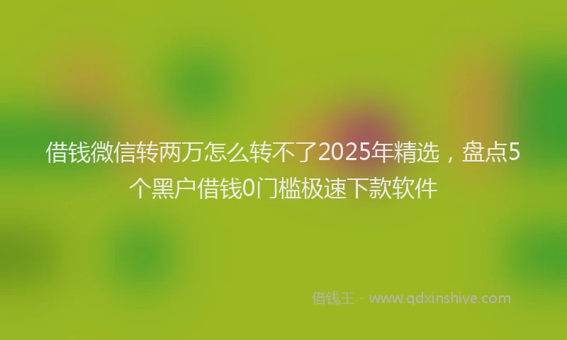 借钱微信转两万怎么转不了2025年精选，盘点5个黑户借钱0门槛极速下款软件