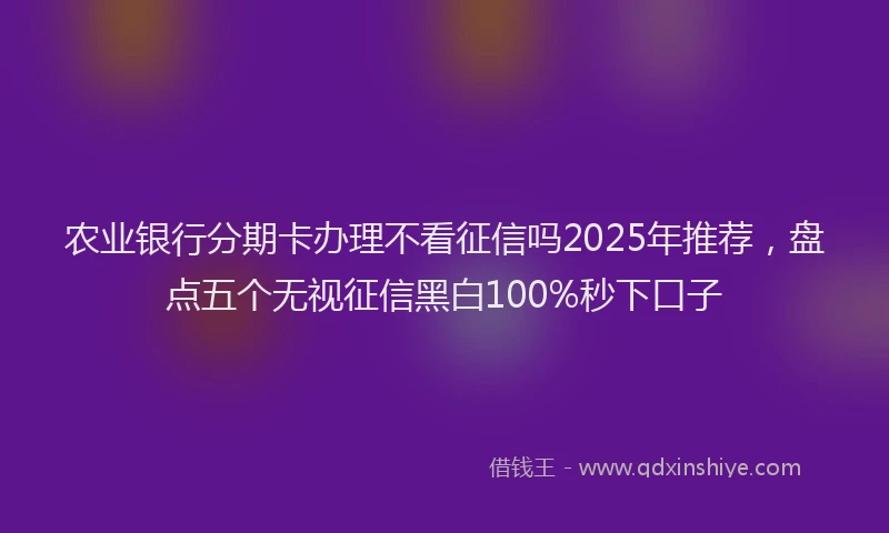 农业银行分期卡办理不看征信吗2025年推荐，盘点五个无视征信黑白100%秒下口子