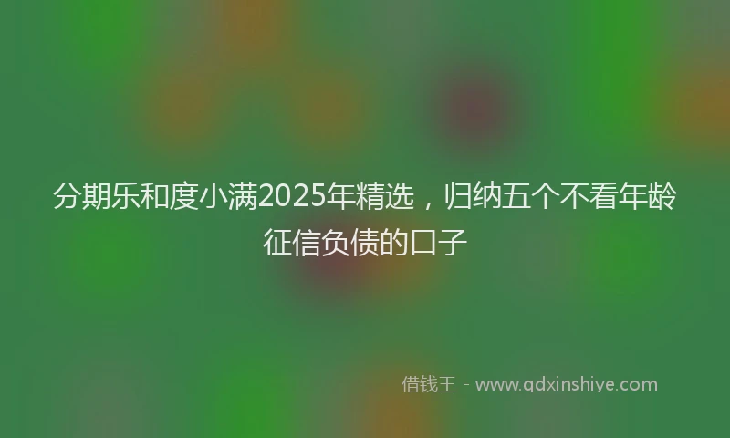 分期乐和度小满2025年精选，归纳五个不看年龄征信负债的口子