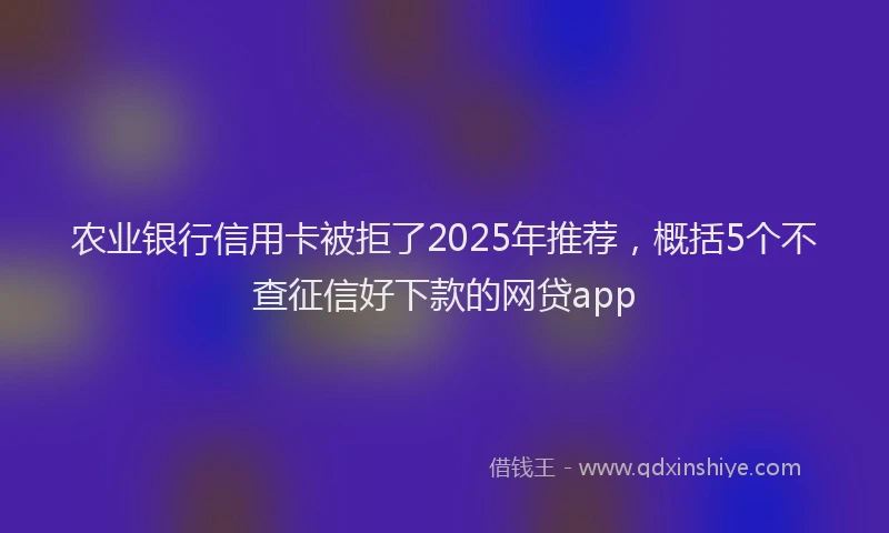 农业银行信用卡被拒了2025年推荐，概括5个不查征信好下款的网贷app