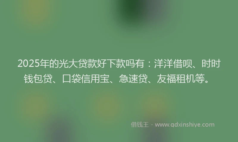 2025年的光大贷款好下款吗有：洋洋借呗、时时钱包贷、口袋信用宝、急速贷、友福租机等。