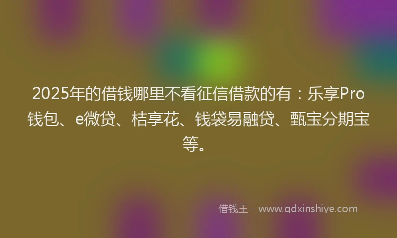 2025年的借钱哪里不看征信借款的有：乐享Pro钱包、e微贷、桔享花、钱袋易融贷、甄宝分期宝等。