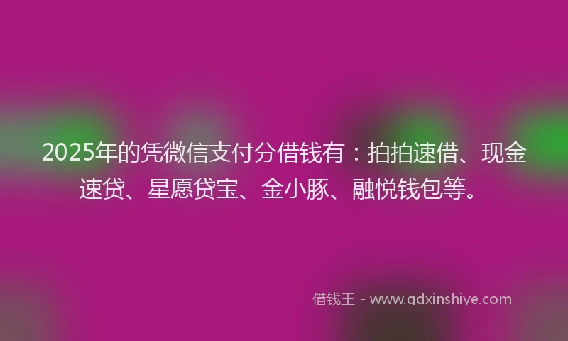 2025年的凭微信支付分借钱有：拍拍速借、现金速贷、星愿贷宝、金小豚、融悦钱包等。